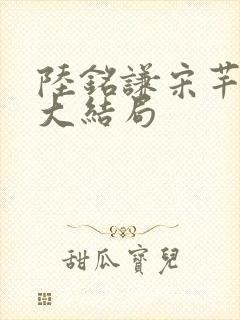 陆铭谦宋芊惠的大结局