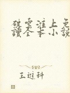 破云淮上免费阅读全本小说封面