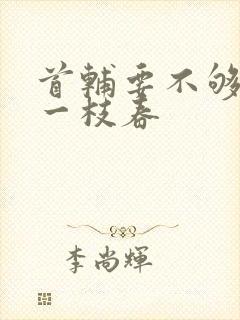 首辅要不够po一枝春封面