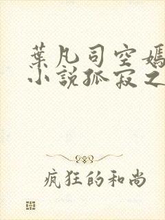 叶凡司空嫣然的小说孤寂之狼