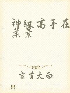 神级高手在都市叶晨