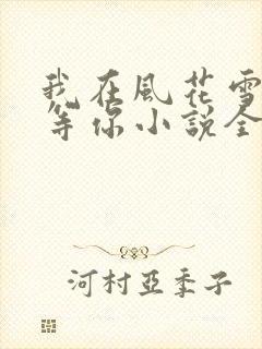 我在风花雪月里等你小说全文封面