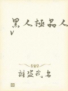 黑人极品人妻av