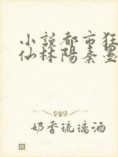 小说都市狂龙医仙林阳秦墨浓