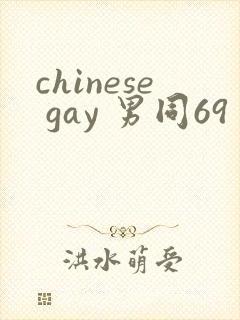 chinese gay 男同69