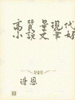 高质量现代言情小说文笔好