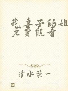 我妻子的姐姐3免费观看