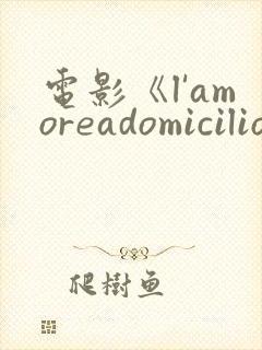 电影《l'amoreadomicilio》免费观看封面