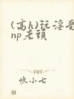 (高h)玩淫受np老头封面