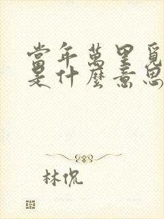 当年万里觅封侯是什么意思