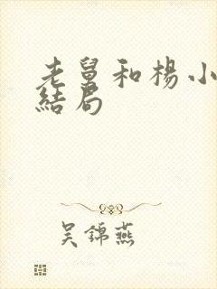 老舅和杨小姐的结局