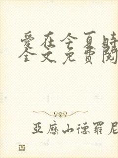 爱在今夏时小说全文免费阅读封面