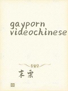 gaypornvideochinese封面