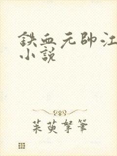 铁血元帅江天的小说封面
