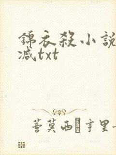 锦衣杀小说未删减txt