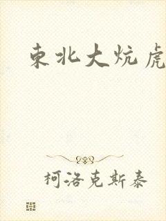 东北大炕虎子封面