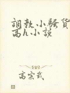 调教小骚货女友高h小说封面