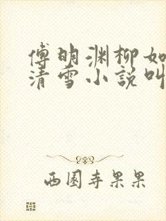 傅明渊柳如嫣林清雪小说叫什么名字