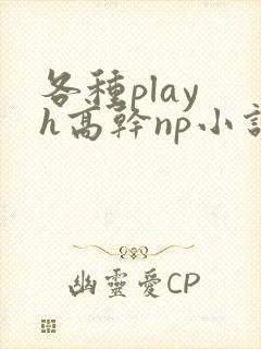 各种play h高干np小说