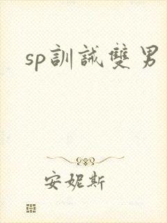 sp训诫双男