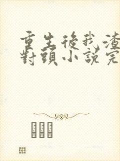 重生后我渣了死对头小说完整