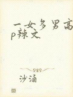 一女多男高hnp辣文封面