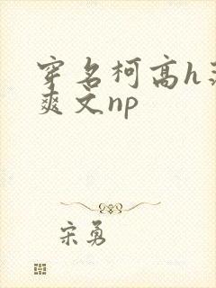 穿名柯高h荡肉爽文np封面