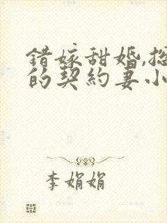 错嫁甜婚,总裁的契约妻小说