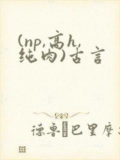 (np,高h,纯肉)古言封面