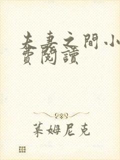 夫妻之间小说免费阅读