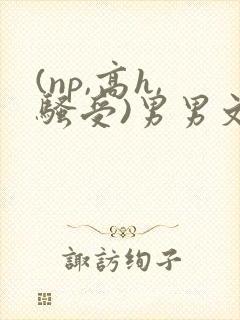 (np,高h,骚受)男男文