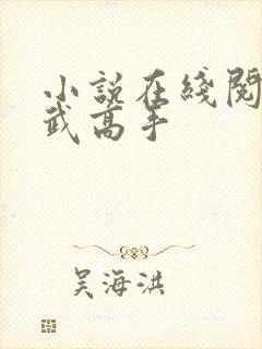 小说在线阅读医武高手
