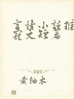 言情小说推荐甜宠文短篇封面