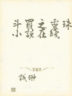 斗罗之灵珠神剑小说在线