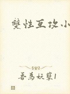 双性互攻小说h