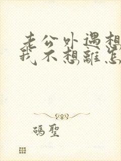 老公外遇想离婚我不想离怎么办封面