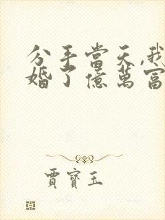 分手当天,我闪婚了亿万富豪小说