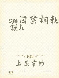 sm囚禁调教小说h