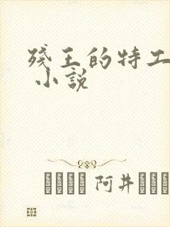 残王的特工宠妃 小说