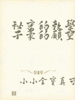 秘密的教学42子豪的愿望