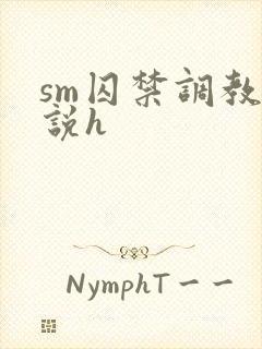 sm囚禁调教小说h