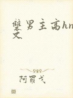 双男主高hnp文