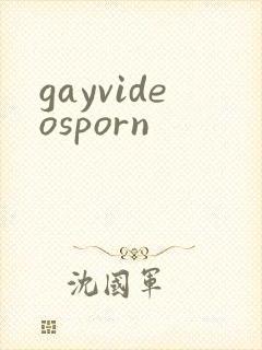 gayvideosporn封面