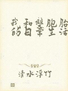 我和双胞胎兄弟的日常生活小说在线阅读