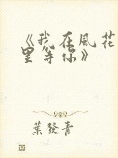 《我在风花雪月里等你》封面