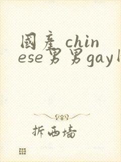 国产 chinese男男gay网站