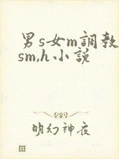 男s女m调教(sm,h小说