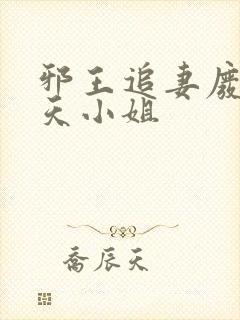 邪王追妻废材逆天小姐封面
