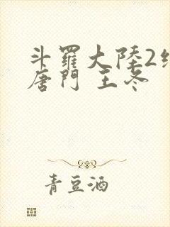 斗罗大陆2绝世唐门 王冬封面