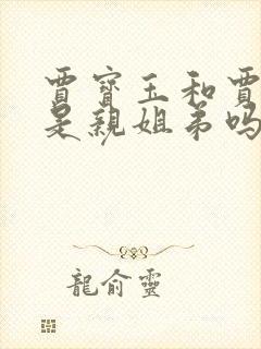 贾宝玉和贾元春是亲姐弟吗
